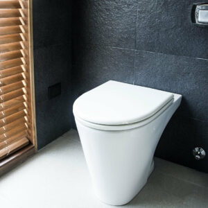 INODORO CORTO + BIDET + TAPA MARINA FERRUM - Image 2